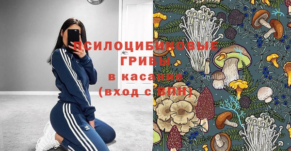 твердый Армянск